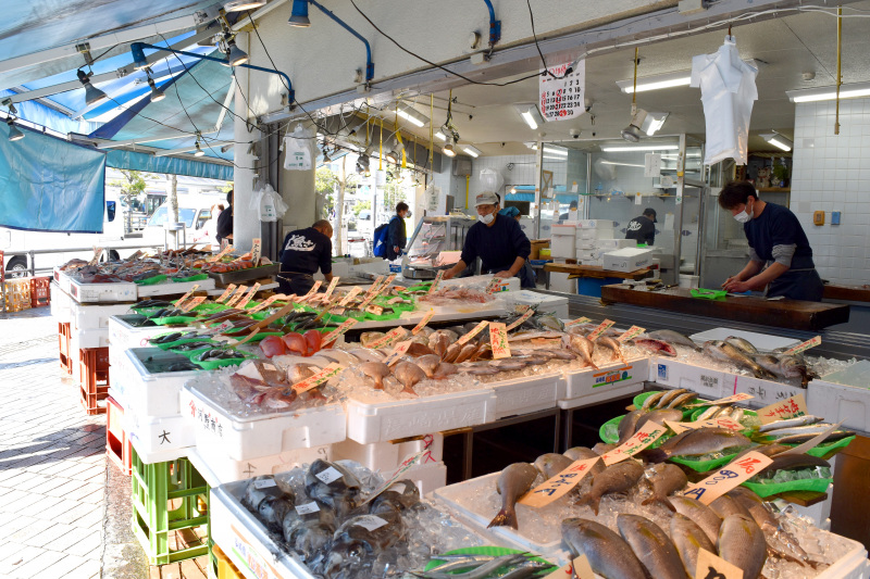 やっぱり魚が食べたい！海街で美味しい魚料理を堪能