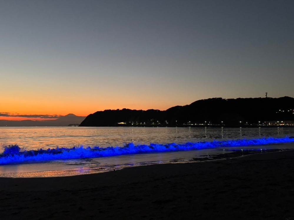 NIGHT WAVE ~光のプロジェクト~in ZUSHI 2026
