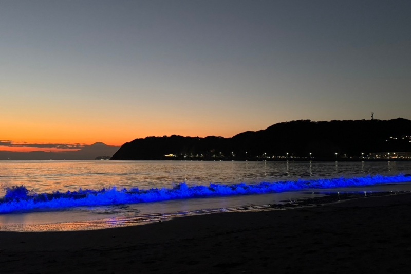 NIGHT WAVE ～光のプロジェクト～in ZUSHI 2026