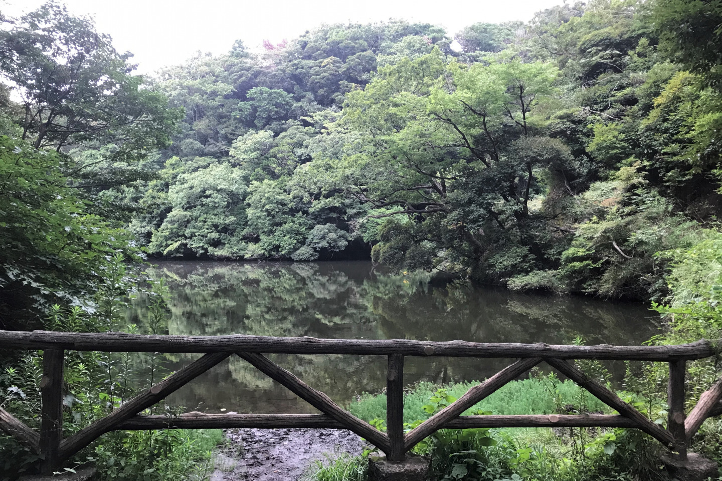 山の根・久木大池回廊　公園の緑と史跡を楽しむ回廊