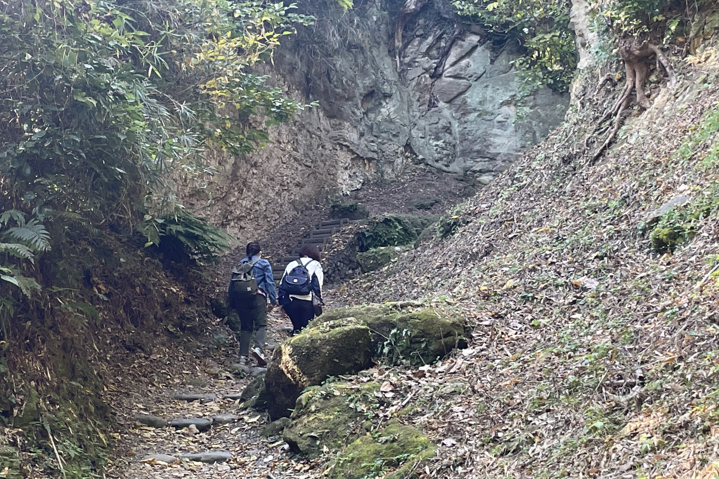 幕末の往還　浦賀みちを歩く