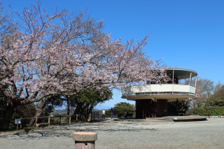 披露山公園