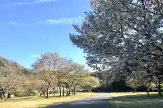 池子の森自然公園