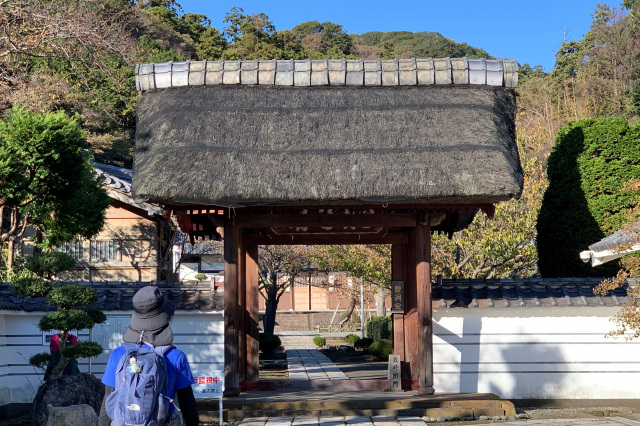 海宝院