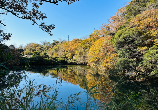 久木大池公園