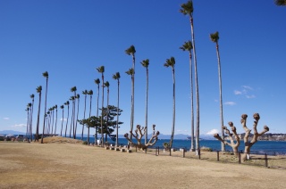 小坪飯島公園