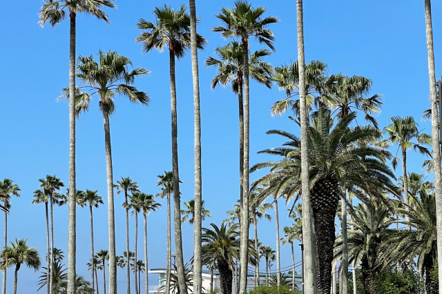 小坪海浜公園