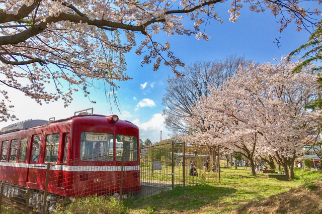 第一運動公園