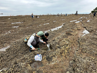 逗子海岸磯あそび