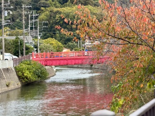 田越川遊歩道の秋