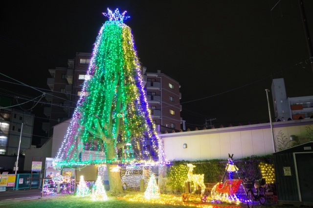 東逗子イルミネーション2025
