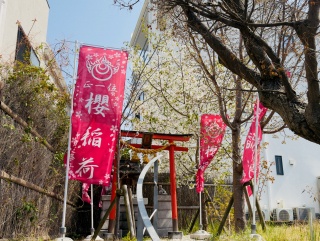 櫻稲荷神社